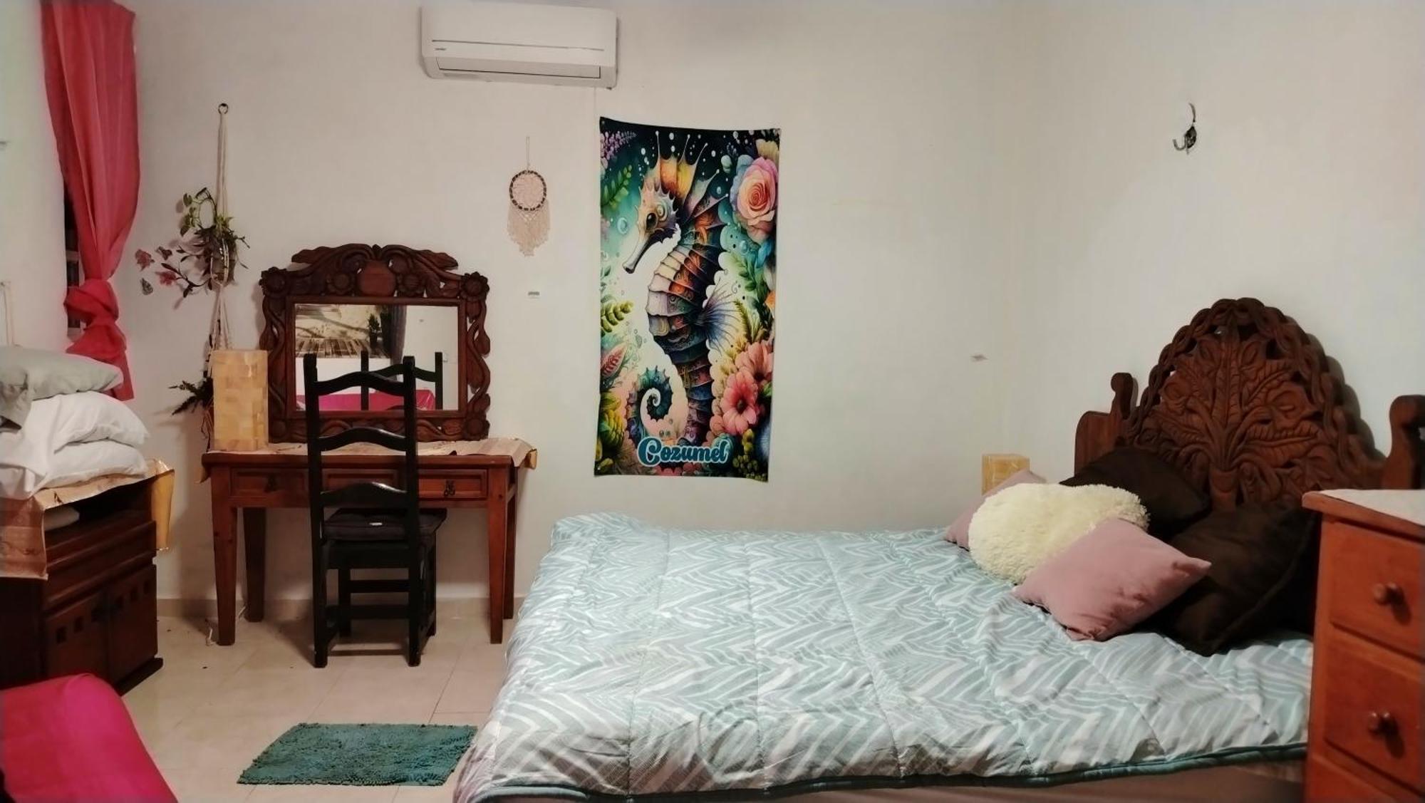 Casa Flores Habitación en casa particular Cozumel